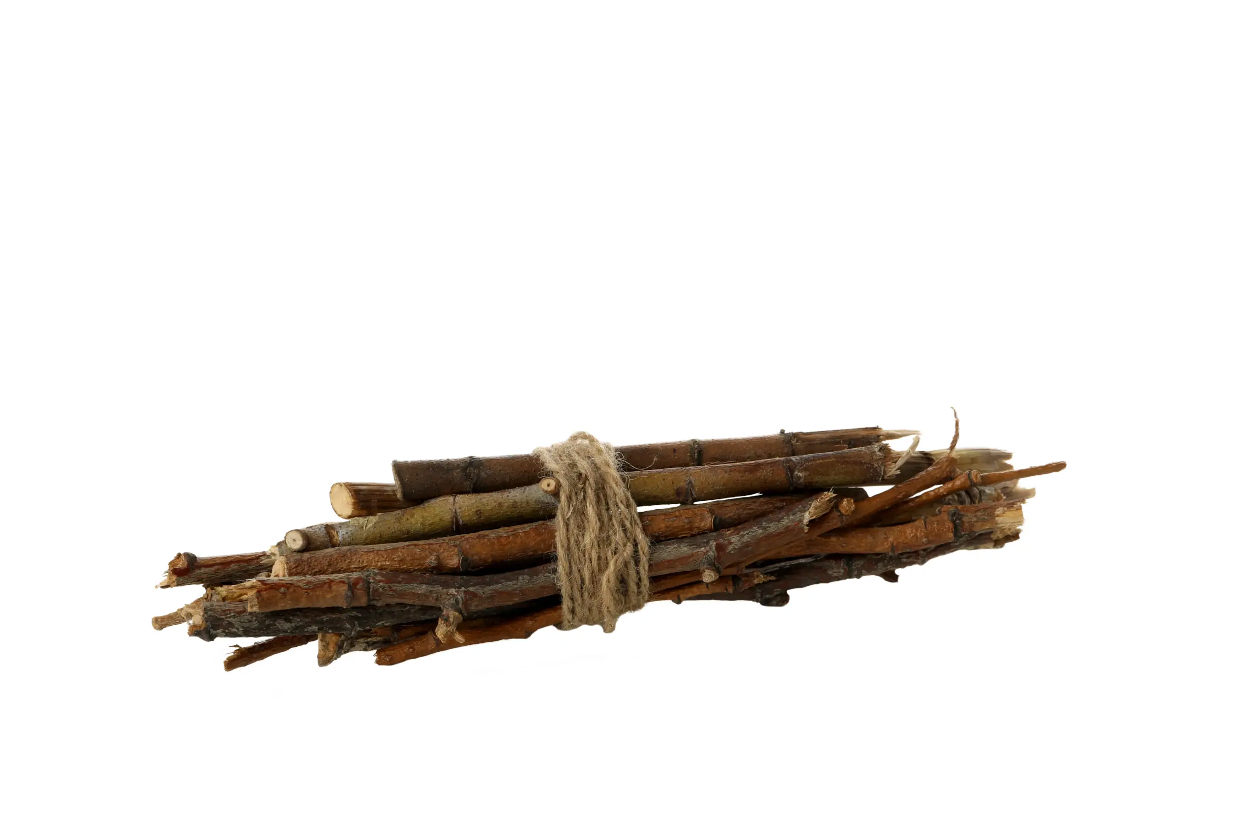 A bundle of sticks tied together with twine, on a white background.